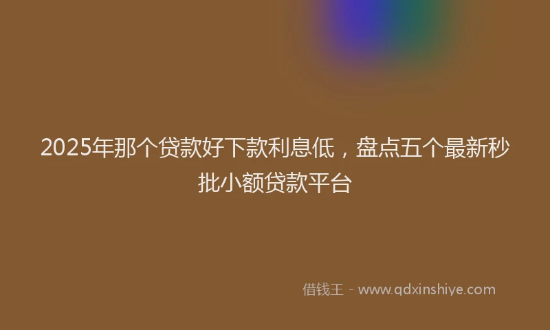 2025年那个贷款好下款利息低，盘点五个最新秒批小额贷款平台