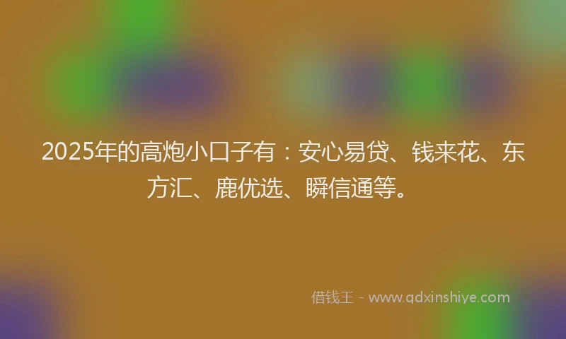 2025年的高炮小口子有：安心易贷、钱来花、东方汇、鹿优选、瞬信通等。