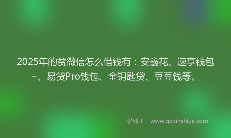 2025年的贫微信怎么借钱有：安鑫花、速享钱包+、易贷Pro钱包、金钥匙贷、豆豆钱等。