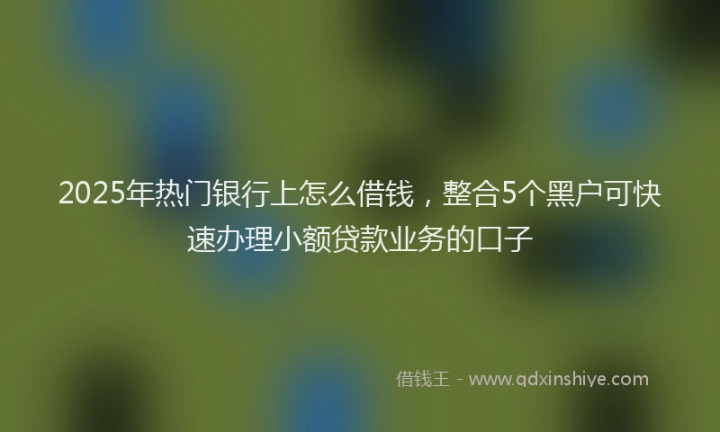 2025年热门银行上怎么借钱，整合5个黑户可快速办理小额贷款业务的口子