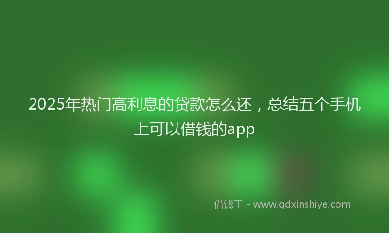2025年热门高利息的贷款怎么还，总结五个手机上可以借钱的app