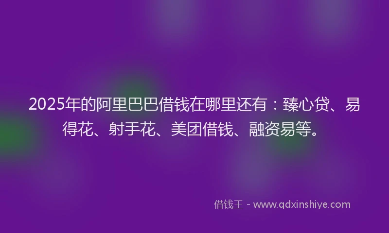 2025年的阿里巴巴借钱在哪里还有：臻心贷、易得花、射手花、美团借钱、融资易等。