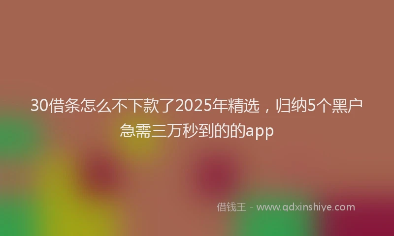 30借条怎么不下款了2025年精选，归纳5个黑户急需三万秒到的的app