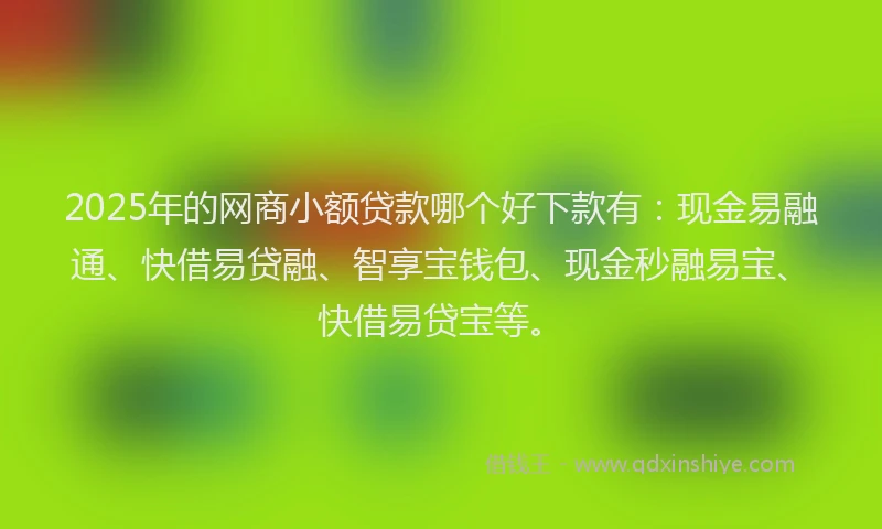 2025年的网商小额贷款哪个好下款有：现金易融通、快借易贷融、智享宝钱包、现金秒融易宝、快借易贷宝等。