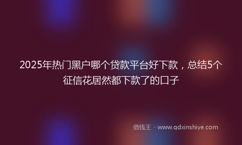 2025年热门黑户哪个贷款平台好下款，总结5个征信花居然都下款了的口子