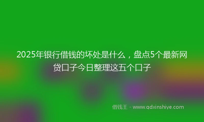2025年银行借钱的坏处是什么，盘点5个最新网贷口子今日整理这五个口子