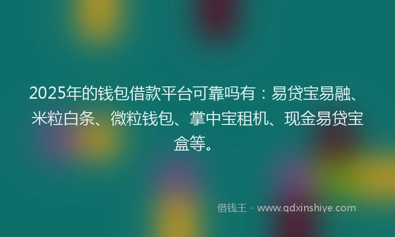 2025年的钱包借款平台可靠吗有：易贷宝易融、米粒白条、微粒钱包、掌中宝租机、现金易贷宝盒等。