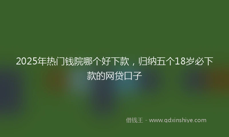 2025年热门钱院哪个好下款，归纳五个18岁必下款的网贷口子