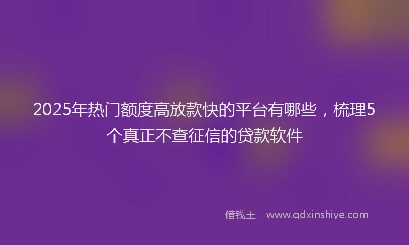 2025年热门额度高放款快的平台有哪些，梳理5个真正不查征信的贷款软件