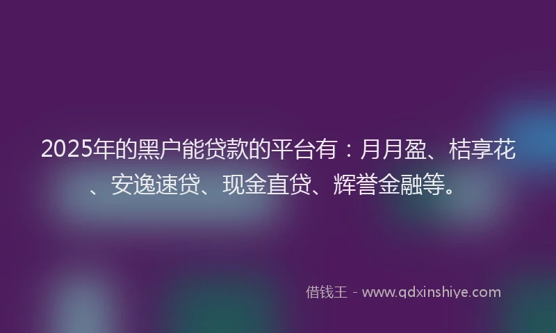 2025年的黑户能贷款的平台有：月月盈、桔享花、安逸速贷、现金直贷、辉誉金融等。