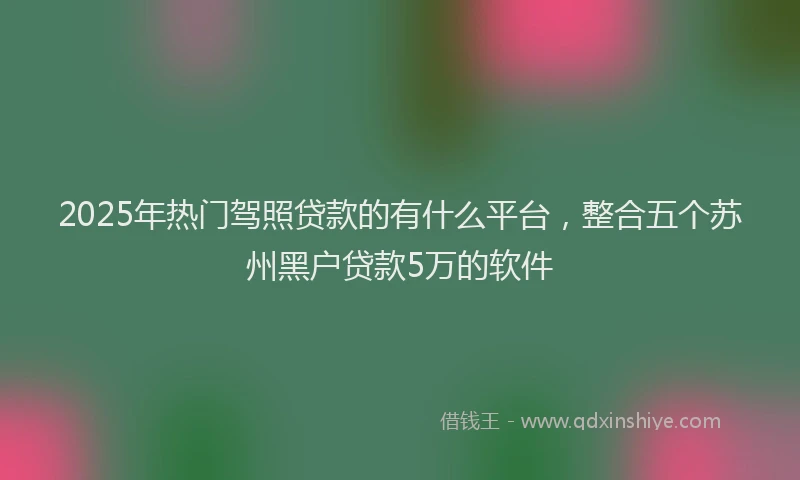 2025年热门驾照贷款的有什么平台,整合五个苏州黑户贷款5万的软件