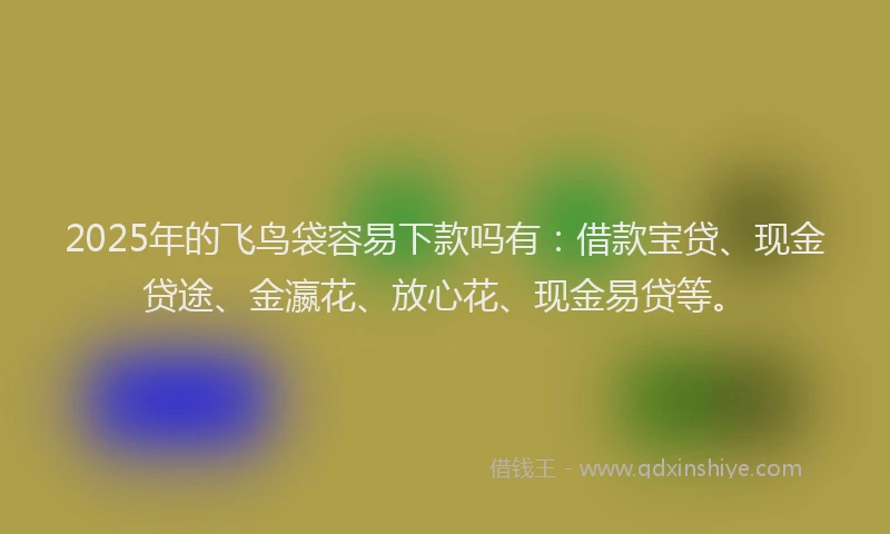 2025年的飞鸟袋容易下款吗有：借款宝贷、现金贷途、金瀛花、放心花、现金易贷等。