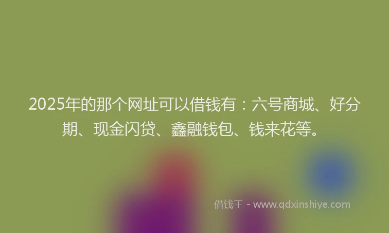 2025年的那个网址可以借钱有：六号商城、好分期、现金闪贷、鑫融钱包、钱来花等。