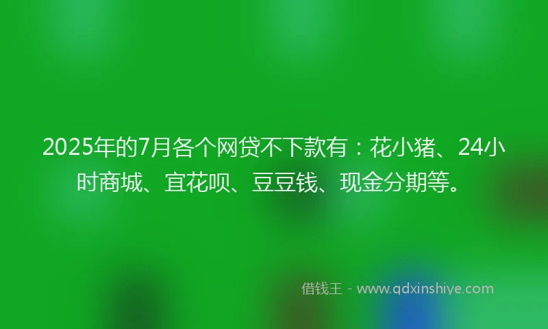 2025年的7月各个网贷不下款有：花小猪、24小时商城、宜花呗、豆豆钱、现金分期等。