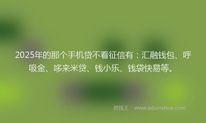 2025年的那个手机贷不看征信有：汇融钱包、呼吸金、哆来米贷、钱小乐、钱袋快易等。