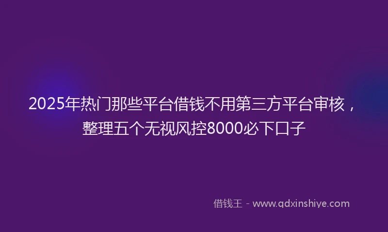 2025年热门那些平台借钱不用第三方平台审核，整理五个无视风控8000必下口子
