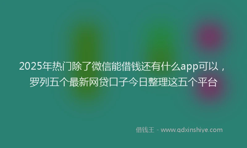 2025年热门除了微信能借钱还有什么app可以，罗列五个最新网贷口子今日整理这五个平台