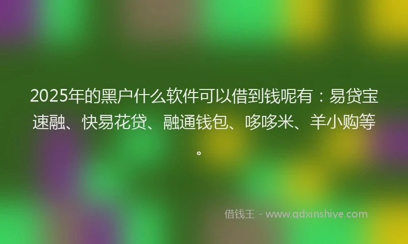 2025年的黑户什么软件可以借到钱呢有：易贷宝速融、快易花贷、融通钱包、哆哆米、羊小购等。