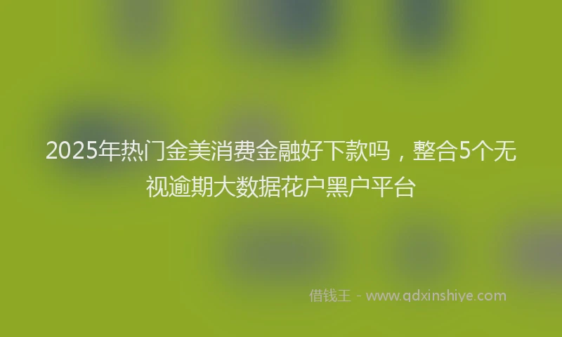 2025年热门金美消费金融好下款吗，整合5个无视逾期大数据花户黑户平台