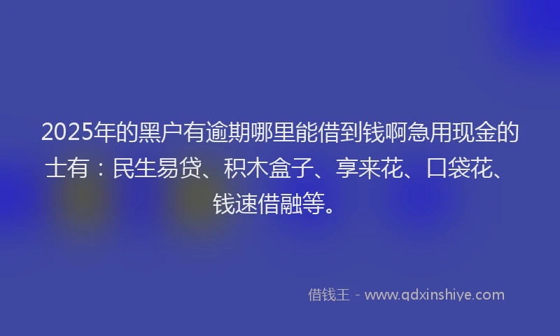 2025年的黑户有逾期哪里能借到钱啊急用现金的士有：民生易贷、积木盒子、享来花、口袋花、钱速借融等。