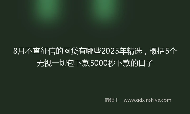 8月不查征信的网贷有哪些2025年精选，概括5个无视一切包下款5000秒下款的口子