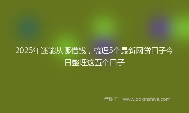 2025年还能从哪借钱，梳理5个最新网贷口子今日整理这五个口子