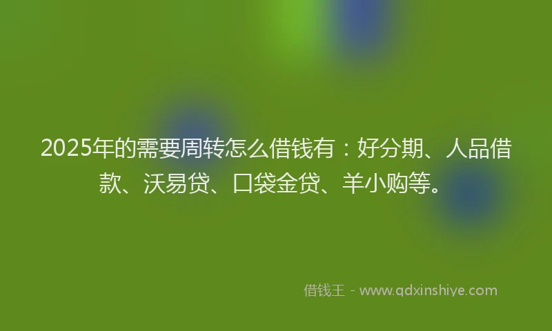 2025年的需要周转怎么借钱有：好分期、人品借款、沃易贷、口袋金贷、羊小购等。