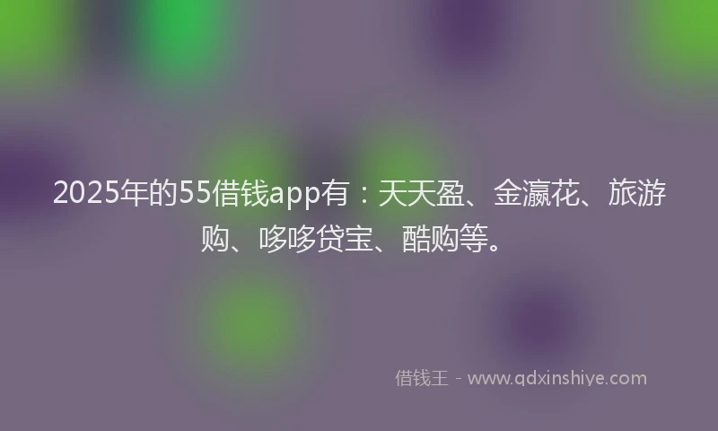 2025年的55借钱app有：天天盈、金瀛花、旅游购、哆哆贷宝、酷购等。