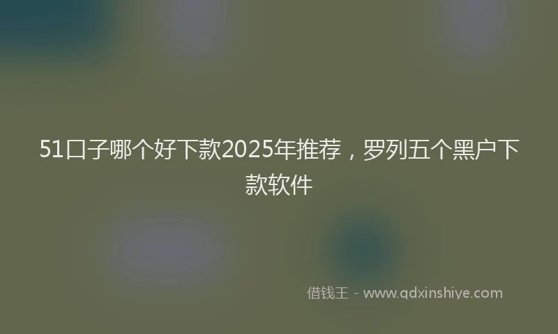 51口子哪个好下款2025年推荐，罗列五个黑户下款软件