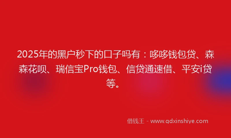 2025年的黑户秒下的口子吗有：哆哆钱包贷、森森花呗、瑞信宝Pro钱包、信贷通速借、平安i贷等。