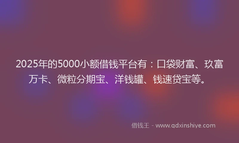 2025年的5000小额借钱平台有：口袋财富、玖富万卡、微粒分期宝、洋钱罐、钱速贷宝等。