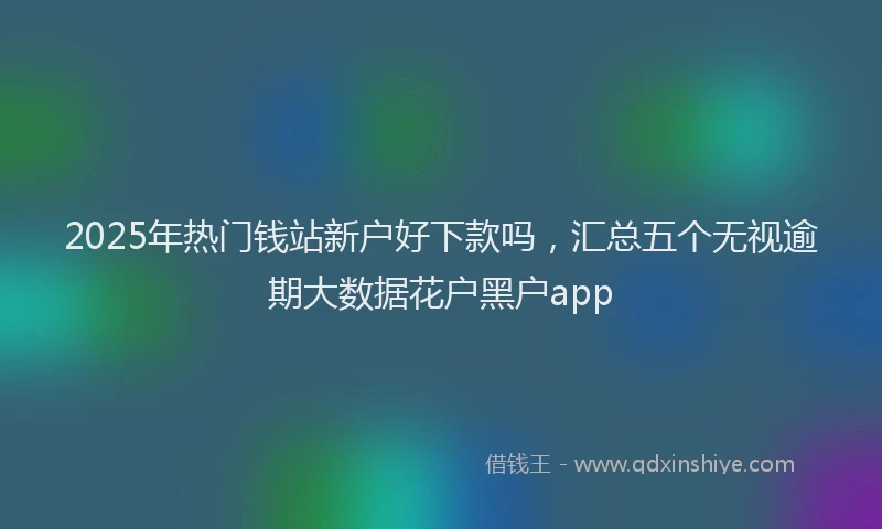 2025年热门钱站新户好下款吗，汇总五个无视逾期大数据花户黑户app