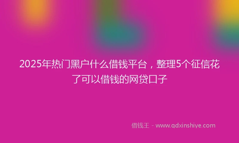 2025年热门黑户什么借钱平台，整理5个征信花了可以借钱的网贷口子