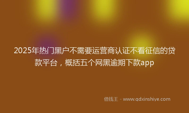 2025年热门黑户不需要运营商认证不看征信的贷款平台,概括五个网黑逾期下款app