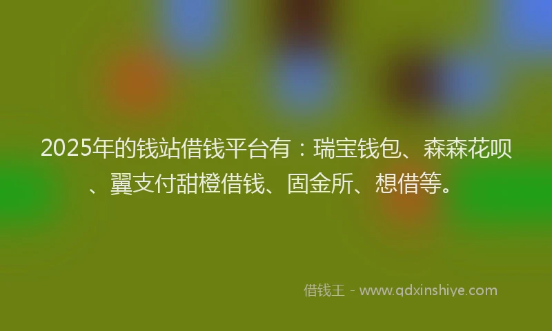 2025年的钱站借钱平台有：瑞宝钱包、森森花呗、翼支付甜橙借钱、固金所、想借等。