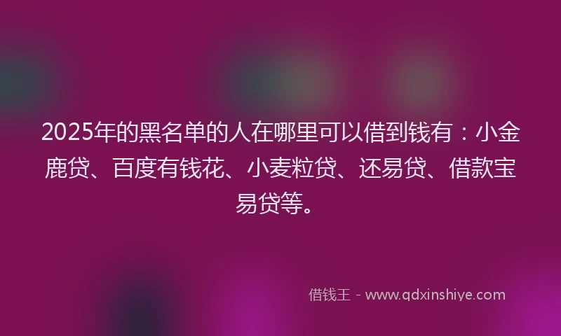 2025年的黑名单的人在哪里可以借到钱有:小金鹿贷、百度有钱花、小麦粒贷、还易贷、借款宝易贷等。