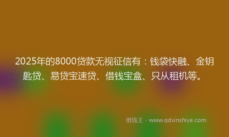 2025年的8000贷款无视征信有：钱袋快融、金钥匙贷、易贷宝速贷、借钱宝盒、只从租机等。