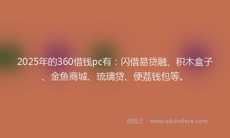 2025年的360借钱pc有：闪借易贷融、积木盒子、金鱼商城、琉璃贷、便荔钱包等。