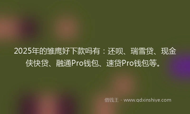 2025年的雏鹰好下款吗有:还呗、瑞雪贷、现金侠快贷、融通Pro钱包、速贷Pro钱包等。