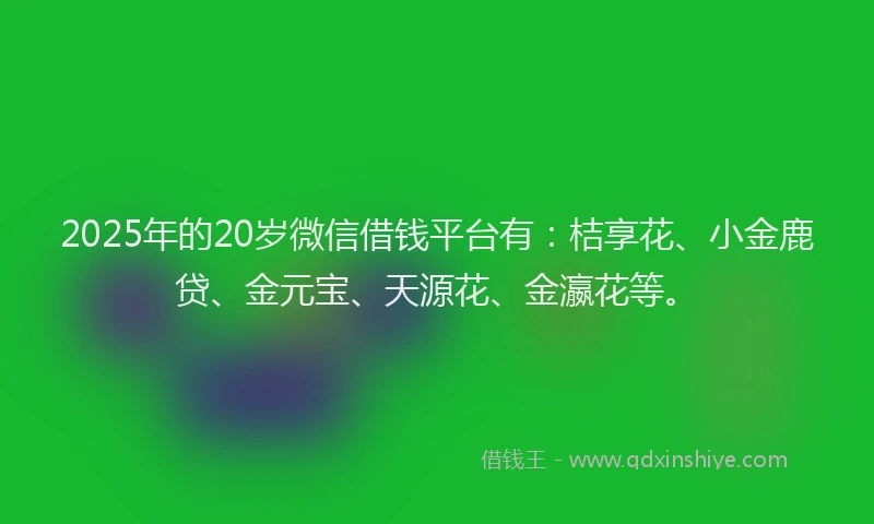 2025年的20岁微信借钱平台有：桔享花、小金鹿贷、金元宝、天源花、金瀛花等。