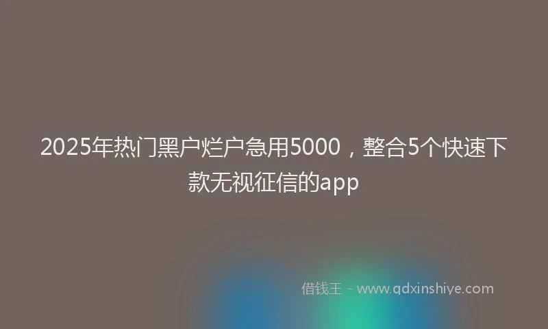 2025年热门黑户烂户急用5000，整合5个快速下款无视征信的app