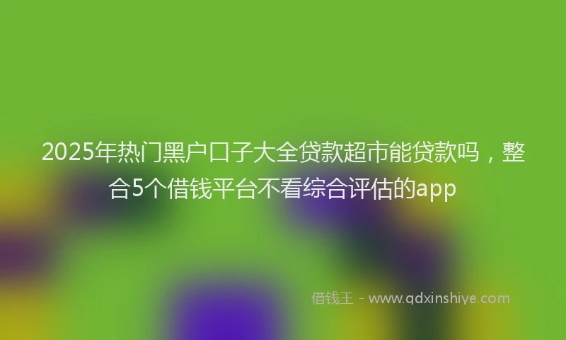 2025年热门黑户口子大全贷款超市能贷款吗，整合5个借钱平台不看综合评估的app