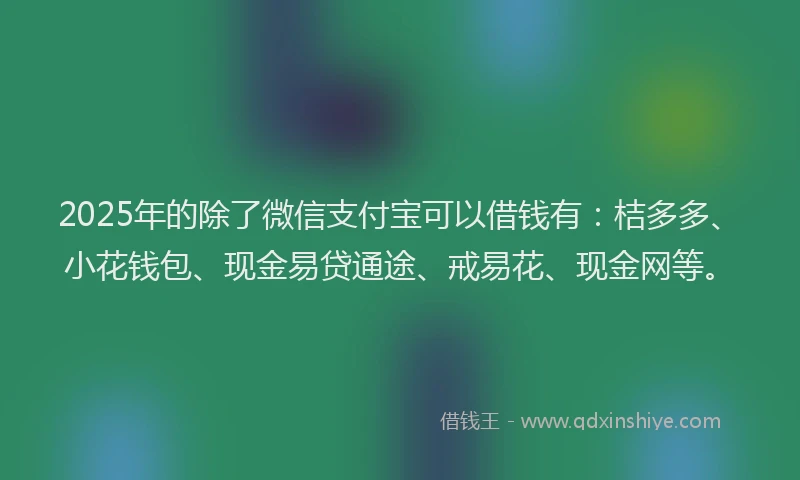 2025年的除了微信支付宝可以借钱有：桔多多、小花钱包、现金易贷通途、戒易花、现金网等。