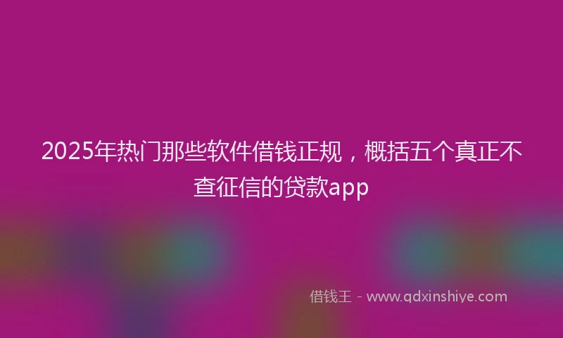 2025年热门那些软件借钱正规，概括五个真正不查征信的贷款app