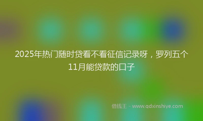2025年热门随时贷看不看征信记录呀，罗列五个11月能贷款的口子