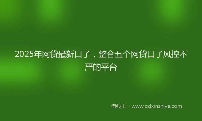 2025年网贷最新口子，整合五个网贷口子风控不严的平台