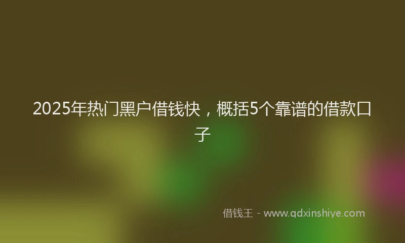 2025年热门黑户借钱快，概括5个靠谱的借款口子
