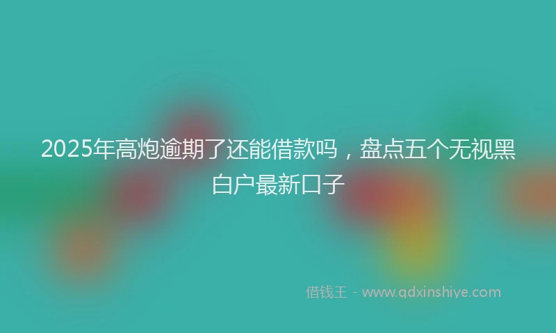 2025年高炮逾期了还能借款吗，盘点五个无视黑白户最新口子