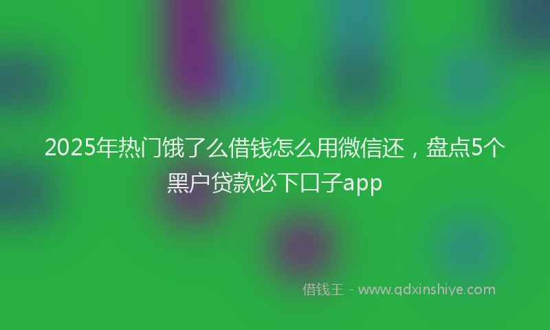 2025年热门饿了么借钱怎么用微信还,盘点5个黑户贷款必下口子app