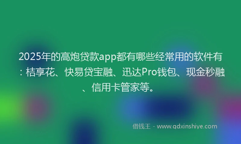 2025年的高炮贷款app都有哪些经常用的软件有：桔享花、快易贷宝融、迅达Pro钱包、现金秒融、信用卡管家等。
